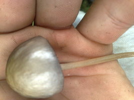 21012011247.jpg