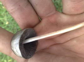 21012011246.jpg