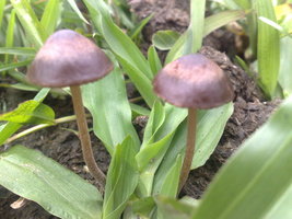 21012011256.jpg