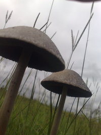 21012011254.jpg