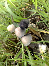21012011273.jpg