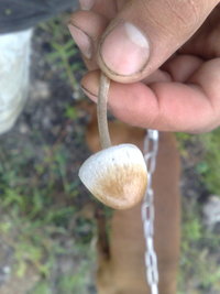 21012011268.jpg