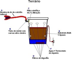 terrario projeto.JPG