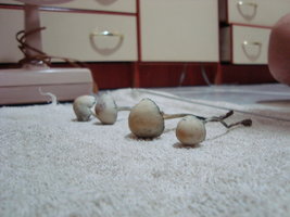 DSC02674.JPG