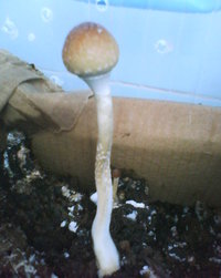 DSC00032.JPG
