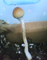 DSC00033.JPG