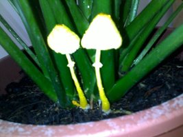 25012011075.jpg