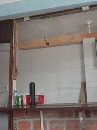 Cogumelo misterioso.jpg