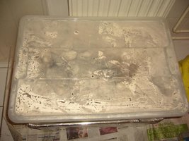25e1-caixa tampada.JPG