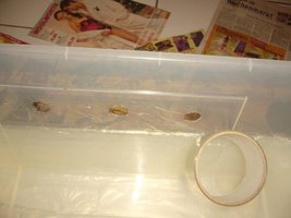11-fita durex buraco.JPG