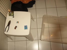1-lapiao-terrario.JPG