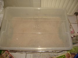 17-sabao TAPADO.JPG