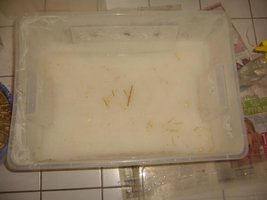 23-agua em tudo.JPG