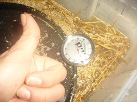 25-temperatura ideal.JPG