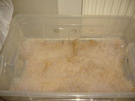 16-sabao2.JPG