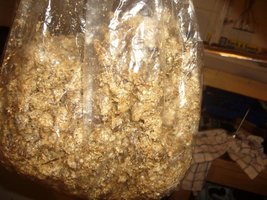 33-bolsas despedacada.JPG