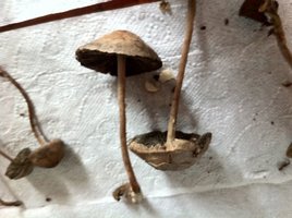 IMG_0107[7].JPG