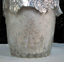 domesticado 2010 (9).JPG