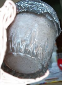 domesticado 2010 (10).JPG