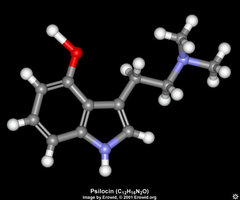 psilocin_3d.jpg