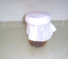 719100324-Cardboard_Cooked.jpg