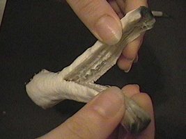 758241959-Tear_Stem.jpg