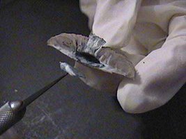719104626-Tissue_Extraction.jpg