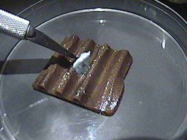 719109018-Tissue_Transfer.jpg