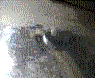 pc_water_drop_boiling.gif