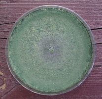 trichoderma03.jpg