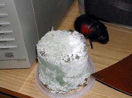 trichoderma07.jpg