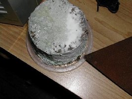 greenmold03.jpg