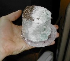 greenmold05.jpg