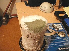greenmold06.jpg