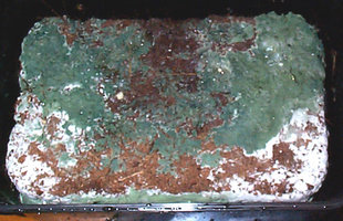 greenmold12.jpg