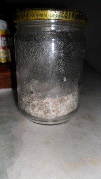 SAM_0066.JPG