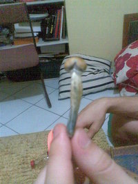 24022011(004).jpg