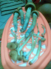 24022011(006).jpg