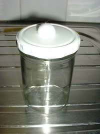 polyfill20.jpg