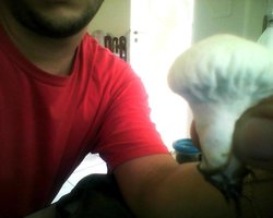 IMG0018.jpg
