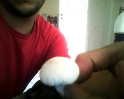 IMG0019.jpg