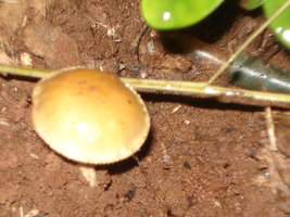 DSC03528.JPG