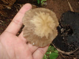 DSC03837.JPG