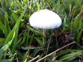 P090311_07.58.jpg
