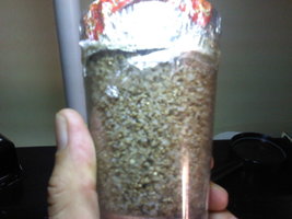 Arroz Medio.jpg