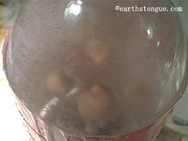 cogumelos_crescendo.jpg
