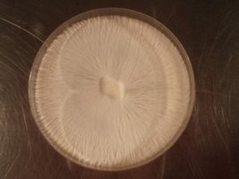 172.JPG