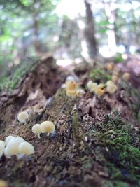 DSC02901.JPG
