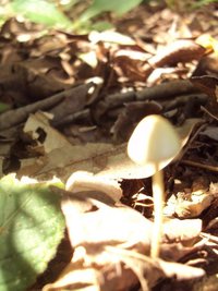 DSC02848.JPG