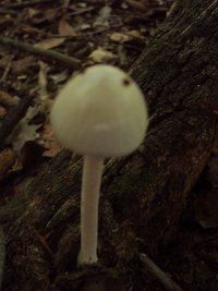 DSC02888.JPG